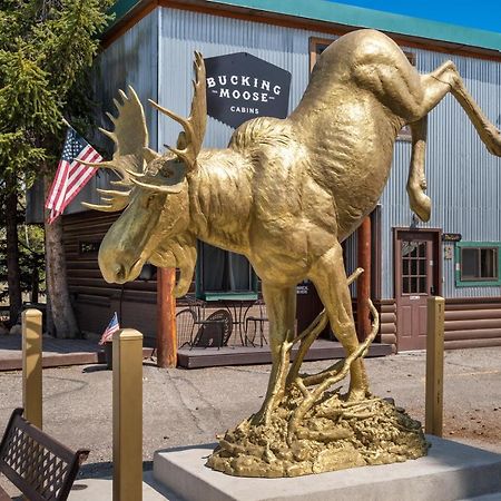 فندق The Bucking Moose غرب يلوستون المظهر الخارجي الصورة